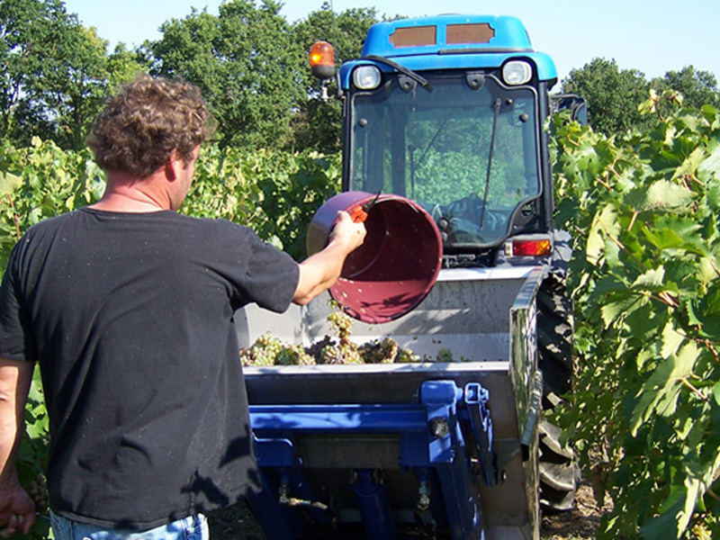 HE2 100X100 | Schiélé Hotte élévatrice STHIK Cernay 0