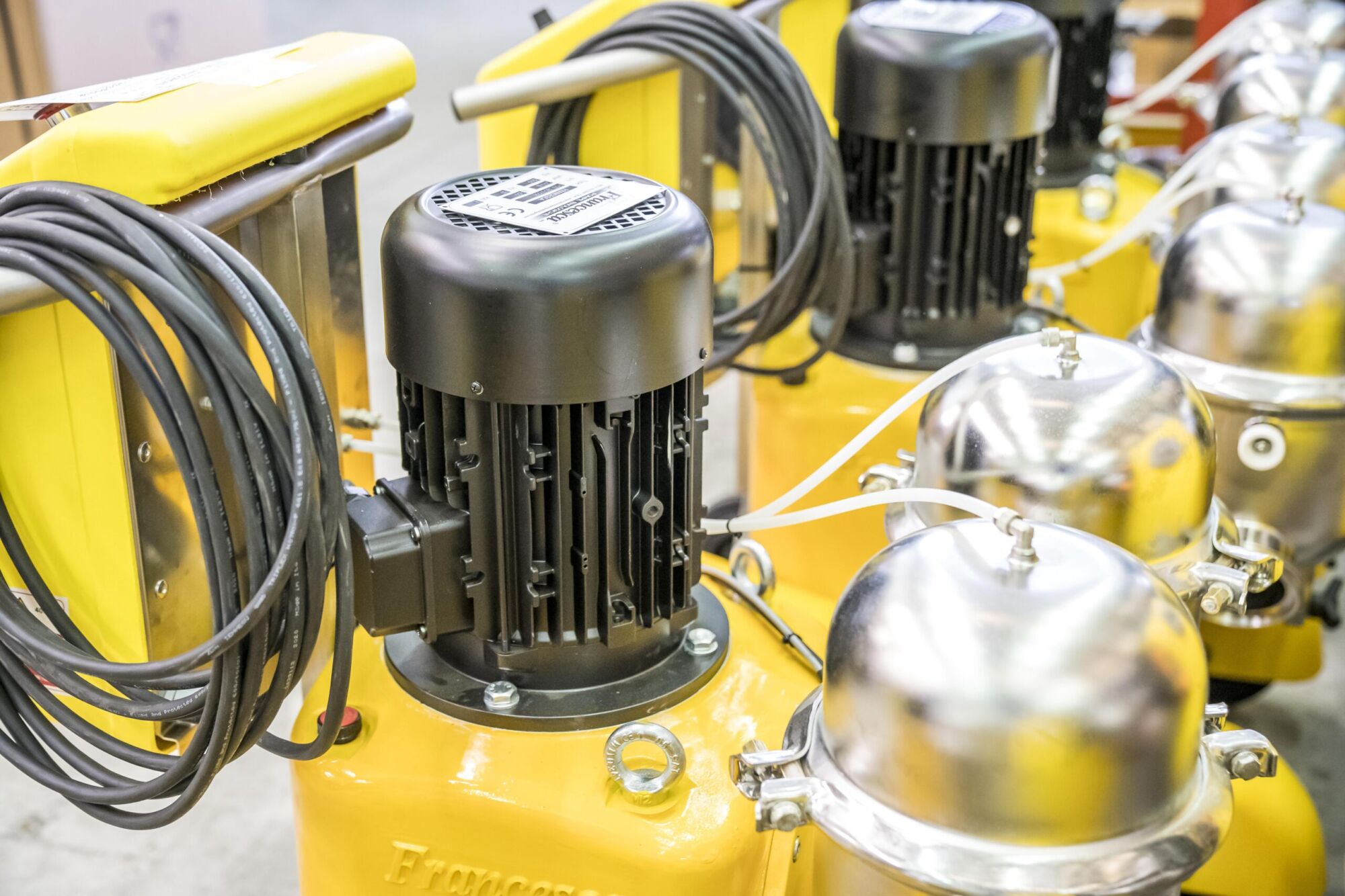 Franscesca Wittenheim 0