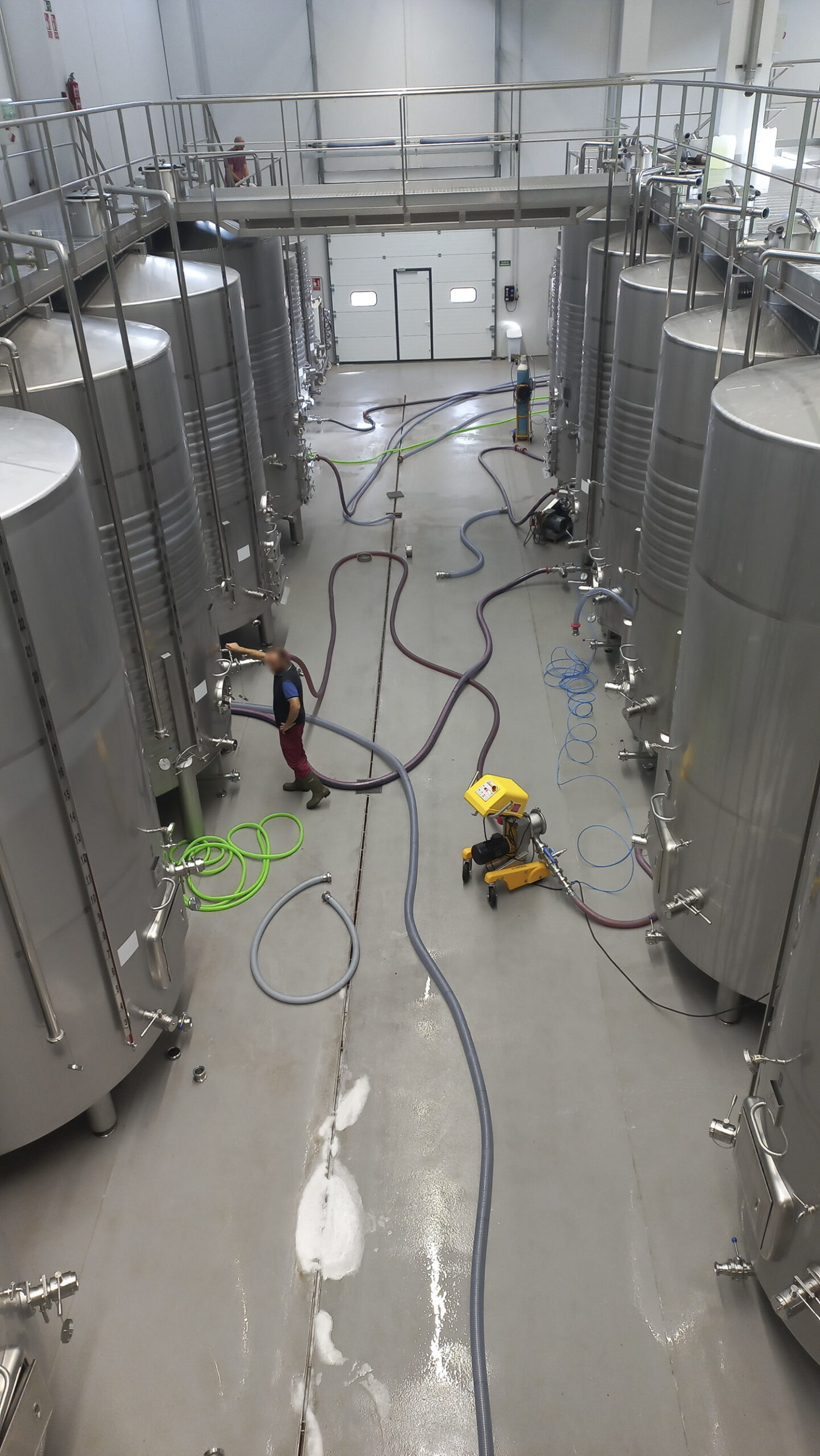 20 SCALED 1 100X100 | Schiélé CATERINA Colmar 0