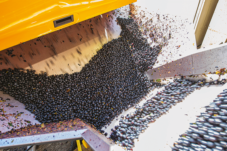 Vision Pellenc Nouvelle génération Sélestat 0