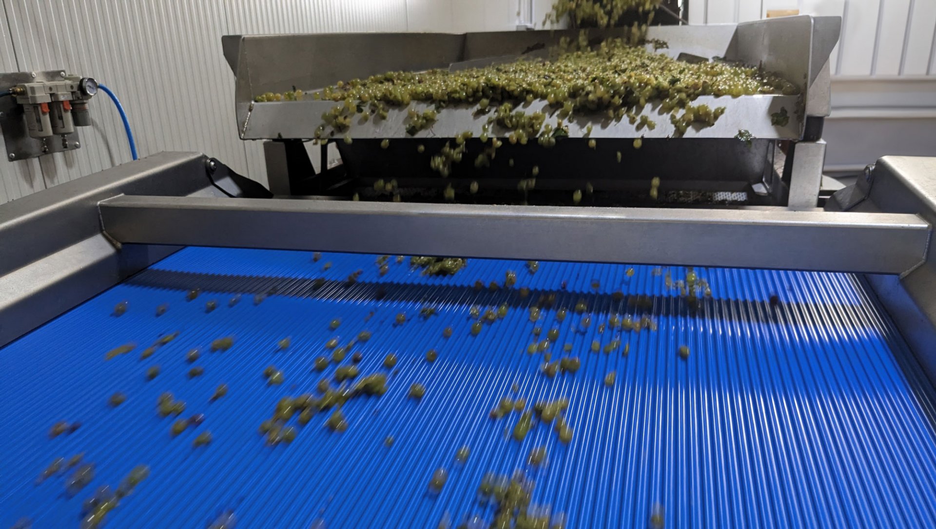 Vision Pellenc Nouvelle génération Sélestat 0