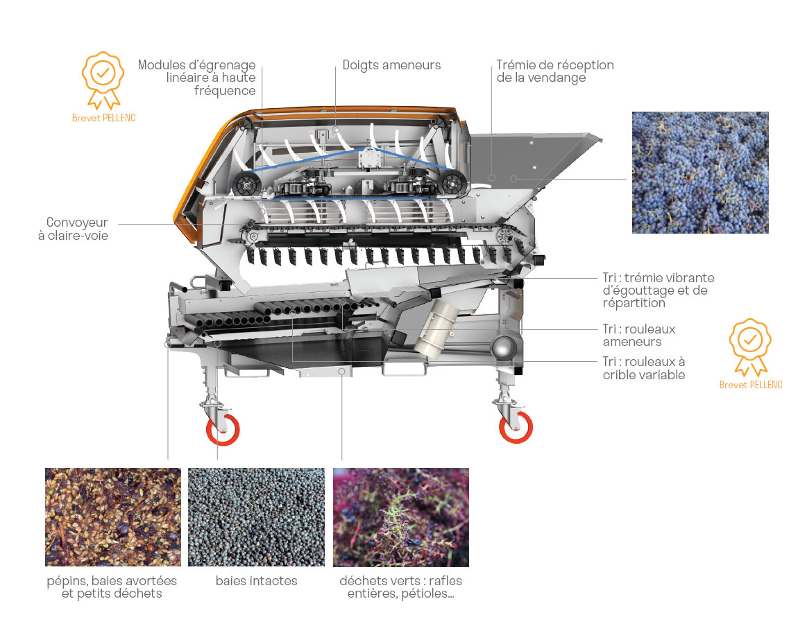 Winery PELLENC Nouvelle génération Rixheim 0