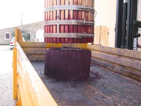 Focus Pressurage &#8211; Retour Vendanges 2024 &#8211; Riedisheim 4